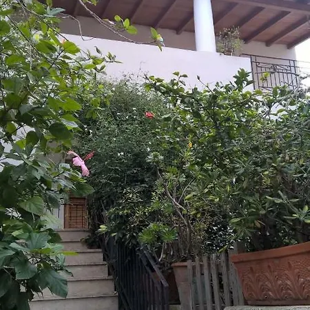 Casa Engy Daire